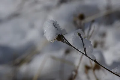 DSC_0767 (Large).JPG